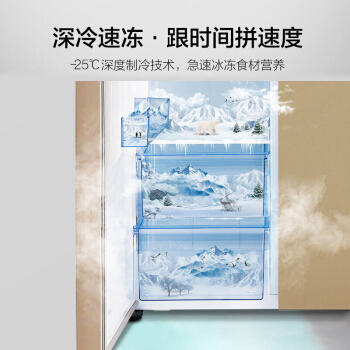 海信 535升 对开门双开门电冰箱 超薄大容量双门 抗菌净化 变频风冷无霜 节能静音BCD-535WTVBP/S 商品图4
