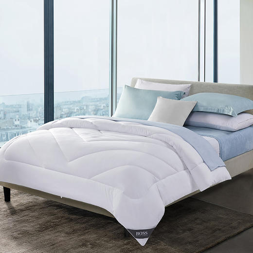 HBXW-039 豪华加厚冬被 商品图4