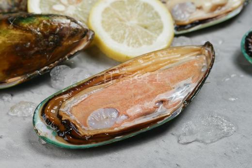 新西兰青口淡菜