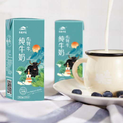 青藏祁莲牦牛纯牛奶青海祁连山成人学生高营养牛奶250ml*12支 商品图5