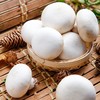 白蘑菇 250g/500g 商品缩略图0