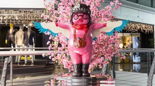 带你飞到任何地方/8版 商品图0