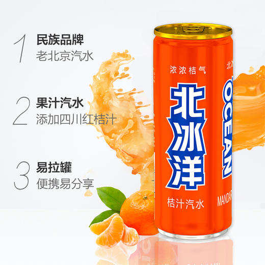 北冰洋桔汁汽水330ml（8A)(Z) 商品图2