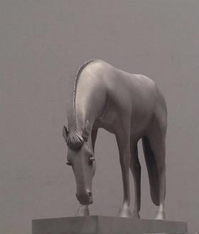 优昙钵华/藏银/8版