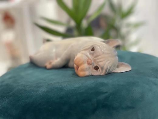 我在听/99版 商品图1