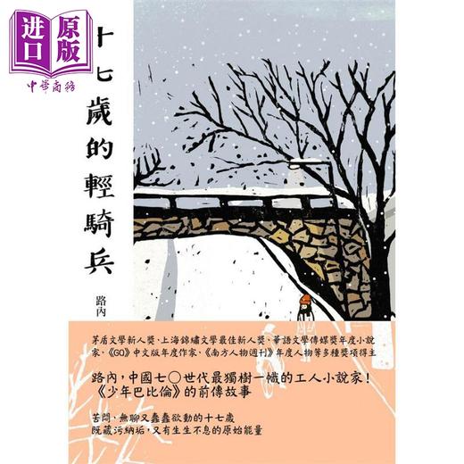 预售 【中商原版】十七岁的轻骑兵 港台原版 路内 联经出版 小说 少年巴比伦前传 商品图2