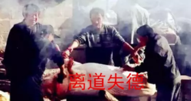  从人类饮食退化的分期来看人类吃素的本质 