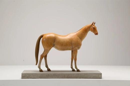 任亮《格物灵语·悟》99版/中 商品图1