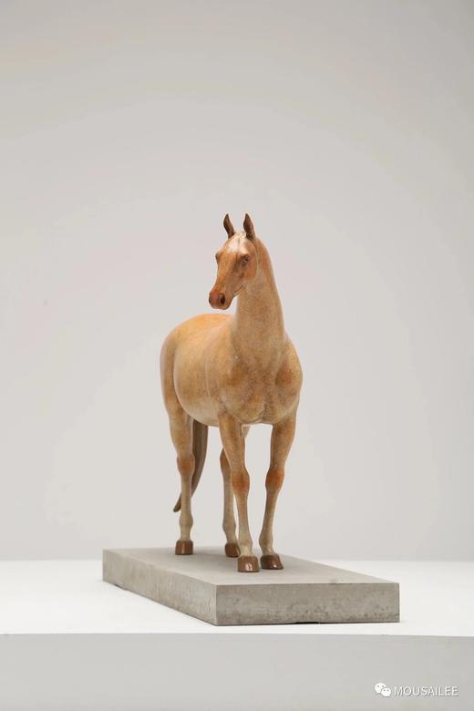 任亮《格物灵语·悟》99版/中 商品图2