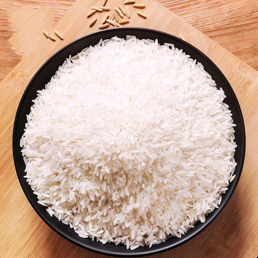 瓦仓米大青花
5kg 商品图4