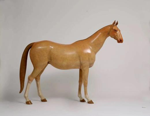 任亮《格物灵语·悟》99版/中 商品图0