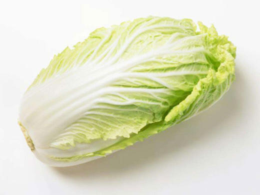 黄芽白菜约12斤