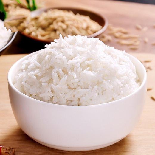 瓦仓米大青花
5kg 商品图3