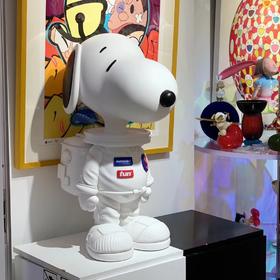 宇航员史努比-DXW