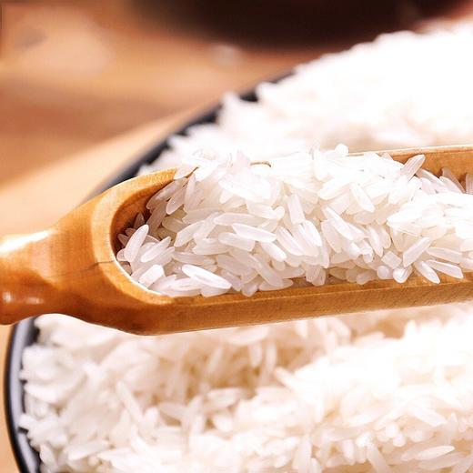 瓦仓米大青花
5kg 商品图1