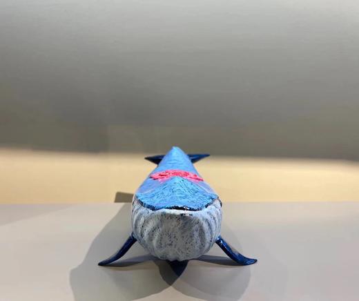 蓝色海洋/99版 商品图1