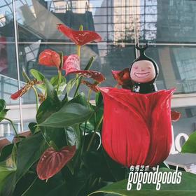 浪漫守护神/999版