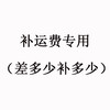 运费补差价专用（差多少补多少） 商品缩略图0