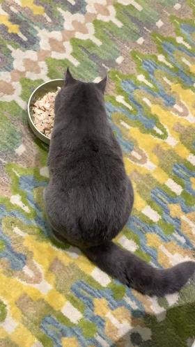 销售员自动化专用-勿动