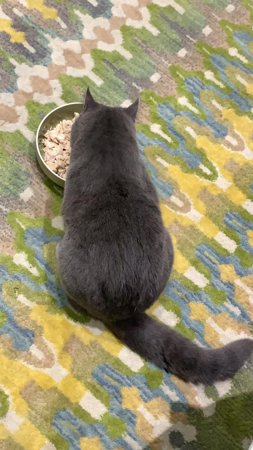 UIAutoTest:edit on 2020-10-27 商品图0