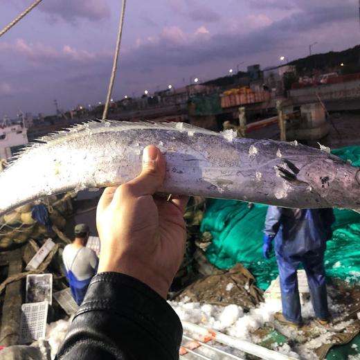 舟山雷达网深海 野生白磷中带鱼 5-7条（3斤装）乡镇勿拍 商品图3