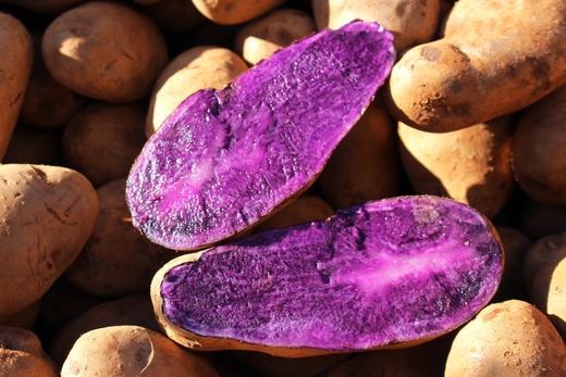 云南高原紫土豆 商品图2