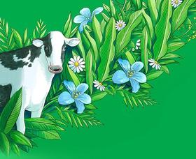  关于牛奶，这5件事你一定要知道~ 