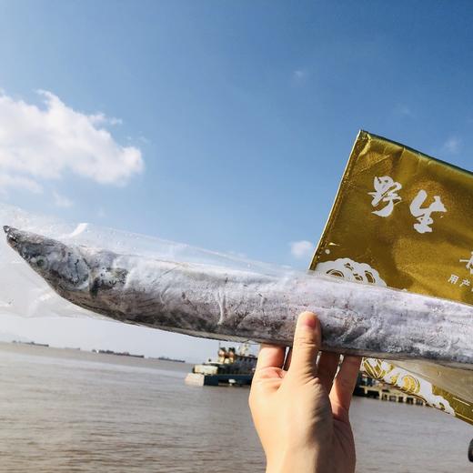 舟山雷达网深海 野生白磷中带鱼 5-7条（3斤装）乡镇勿拍 商品图2