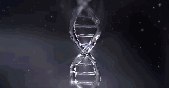 什么！比胶原蛋白营养还高?能紧肤 防皱 修复，它的吸收率高达99%