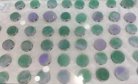 专属定制系列产品展示