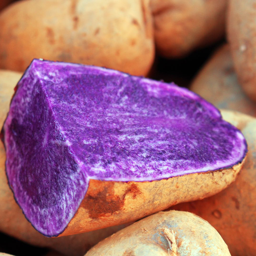 云南高原紫土豆 5斤装