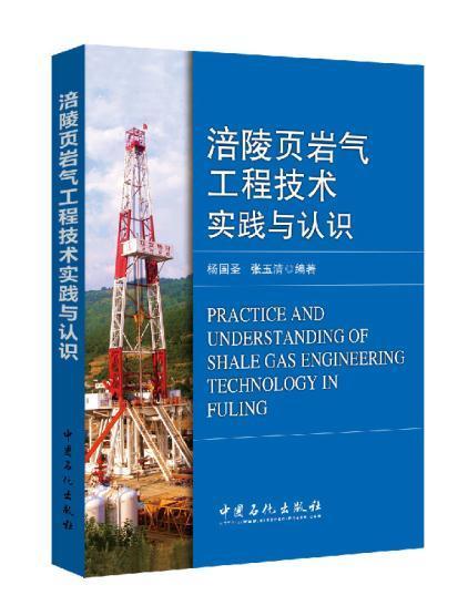 【旗舰店】 涪陵页岩气工程技术实践与认识（  材料翔实，论述深入，专业突出）中国石化出版社 9787511435002 商品图0