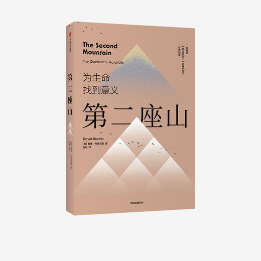 【官微专享】第二座山 戴维布鲁克斯 著   励志 《纽约时报》畅销书作者全新作品 追寻人生价值 创新理念 人类生命的意义 中信 商品图1