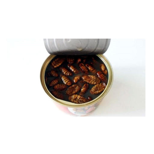 友东蚕蛹130g유동번데기130g 商品图1