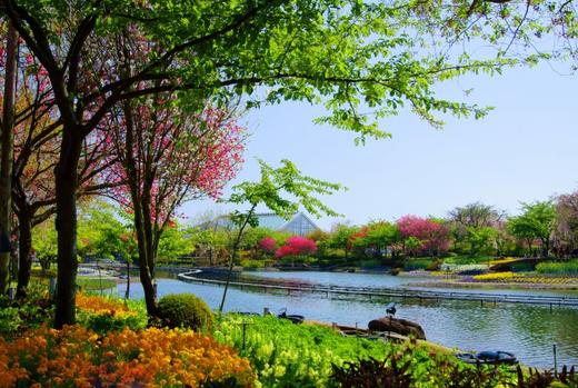 日本祭典与盛会--点灯（二） 商品图7