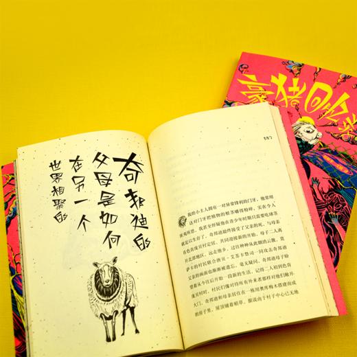 豪猪回忆录Mémoires de porc-épic 商品图3