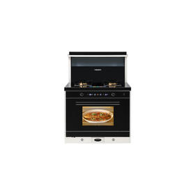 南5美大A8-6601ZK集成灶