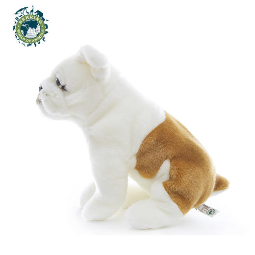 贝林自然世界仿真26厘米毛绒玩具英国斗牛犬文创品上海自然博物股 商品图1