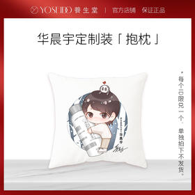 【单拍不发】华晨宇周边抱枕*1 款式b