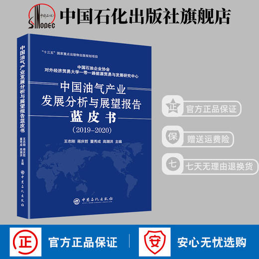 【旗舰店】中国油气产业发展分析与展望报告蓝皮书2019—2020 全面分析研究油气产业发展现状及展望 石油天然气工业经济发展研究 商品图1