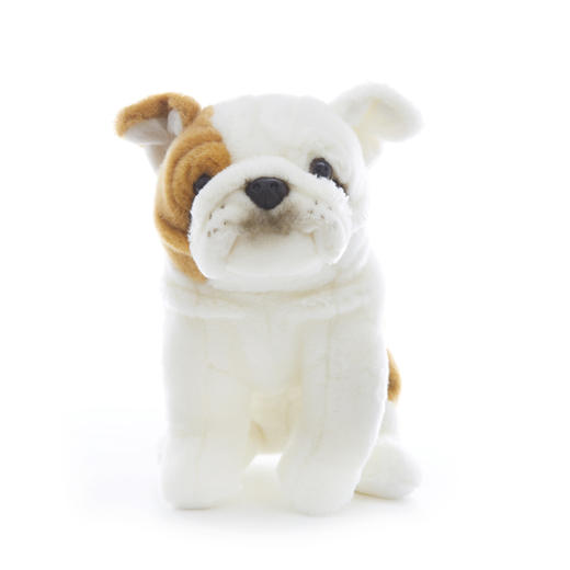 贝林自然世界仿真26厘米毛绒玩具英国斗牛犬文创品上海自然博物股 商品图4