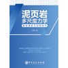 泥页岩多尺度力学基础理论与应用技术 韩强著 商品缩略图0