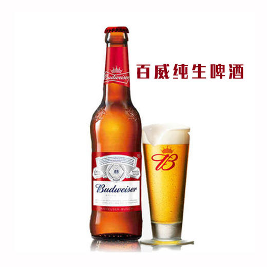百威纯生啤酒【1*24】件 商品图2