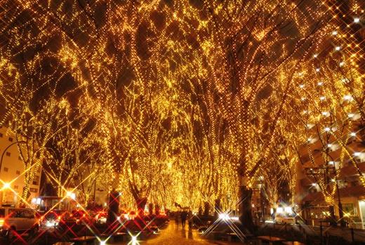 日本祭典与盛会--点灯（一） 商品图8