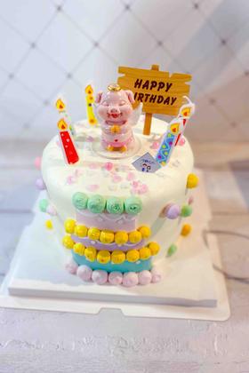 卡哇伊猪猪 下单前请仔细阅读商品详情