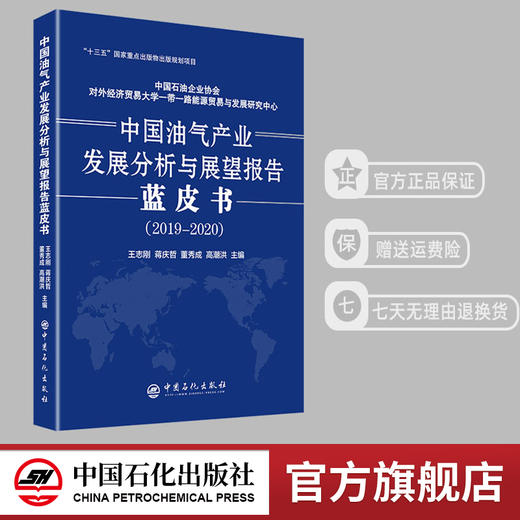 【旗舰店】中国油气产业发展分析与展望报告蓝皮书2019—2020 全面分析研究油气产业发展现状及展望 石油天然气工业经济发展研究 商品图0