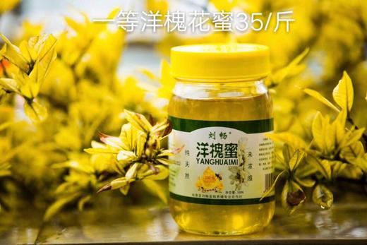 临泉刘畅蜂蜜槐花蜜1斤装29.9元 商品图0