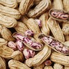 【野地彩花生】 水果花生 新货精选 富硒 味甜口感好 生花生 新货包邮 商品缩略图1