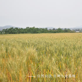  送你一朵小红花 