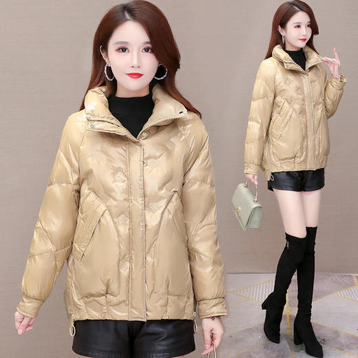 YWE-20W11白鸭绒气质时尚短款轻薄保暖羽绒服 商品图4